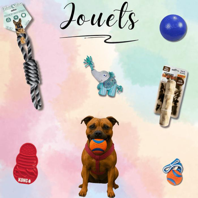Collection Jouets Chiens - Les folies de Lay’