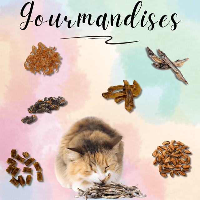 Collection Gourmandises chats - Les folies de Lay’