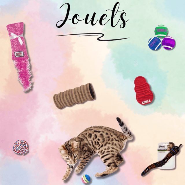 Collection Jouets chats - Les folies de Lay’