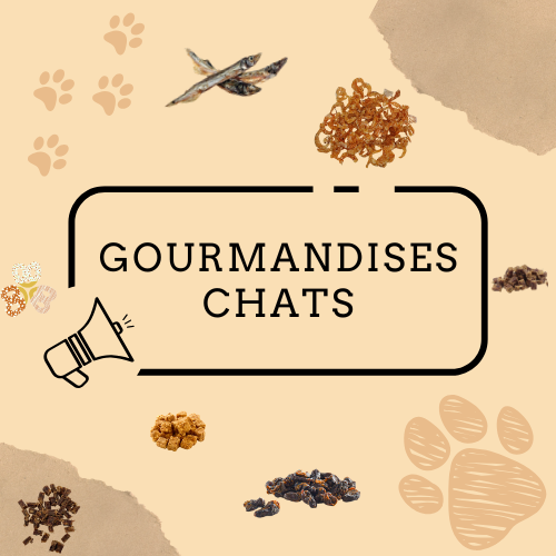 Gourmandises pour Chats