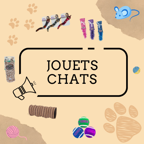 Jouets pour Chats