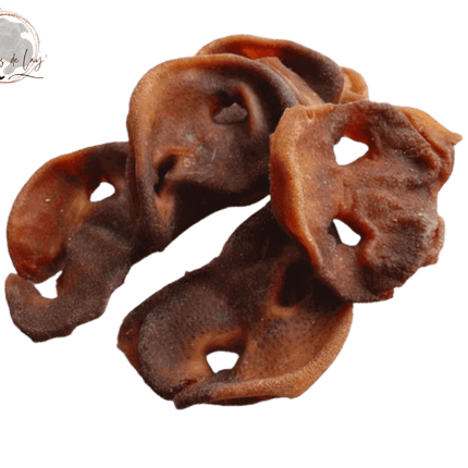 Groin de porc séché