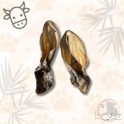 Oreille de Boeuf
