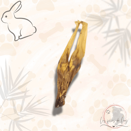 Oreilles de lapin sans poils