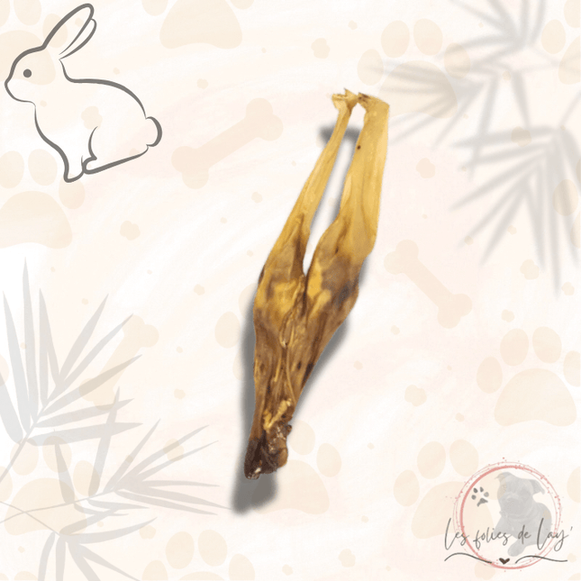 Oreilles de lapin sans poils