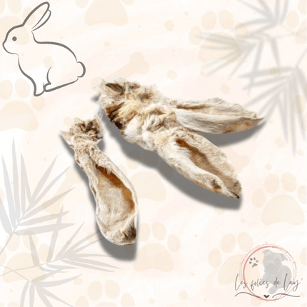 Oreilles de lapin avec poils