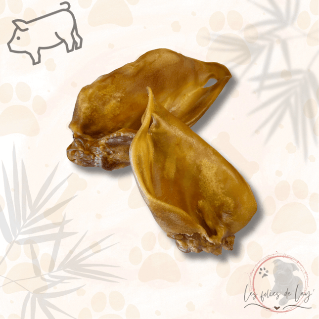 Oreille de porc