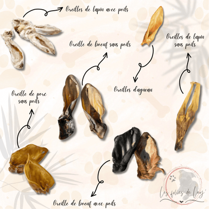 Pack Maxi Oreilles