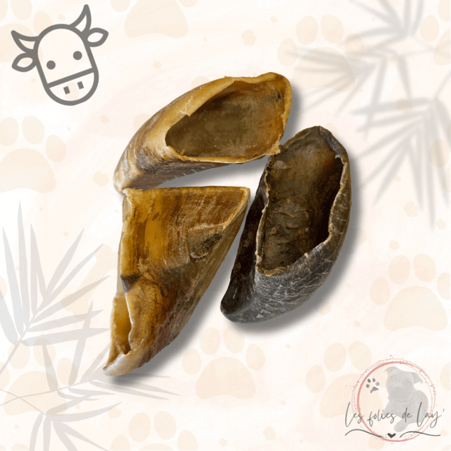 Sabot de boeuf