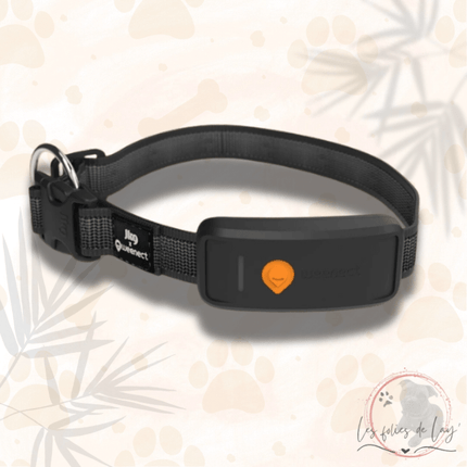 Collier GPS Weenect XT