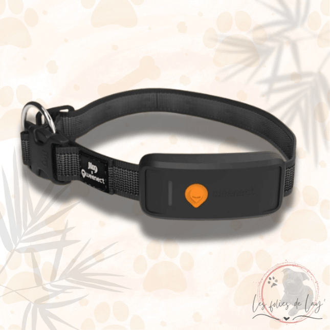 Collier GPS Weenect XT