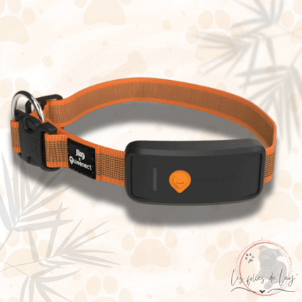 Collier GPS Weenect XT