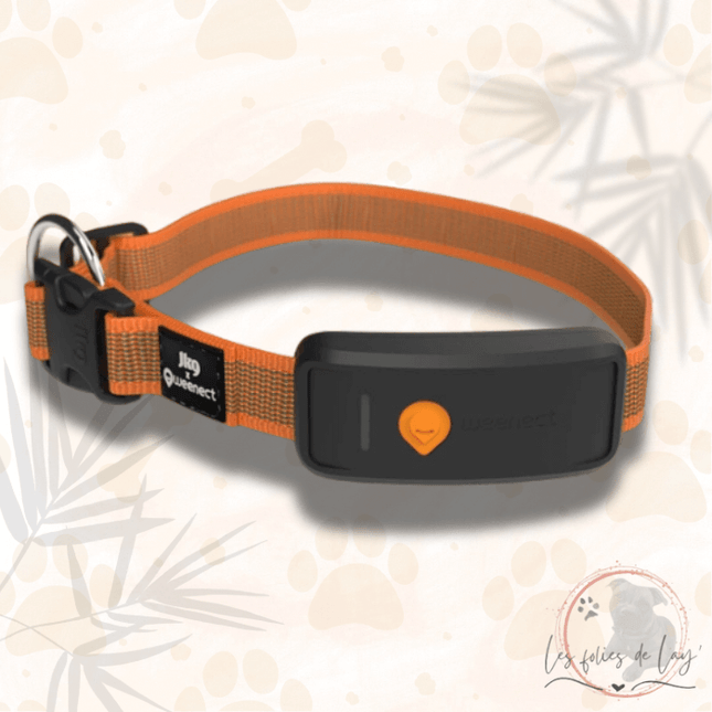 Collier GPS Weenect XT